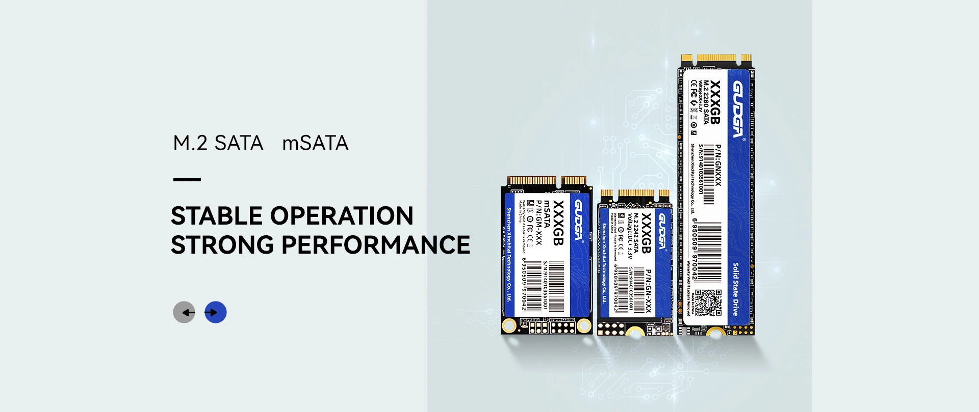 Fabricante de SSD SATA M.2 con descuento de China
